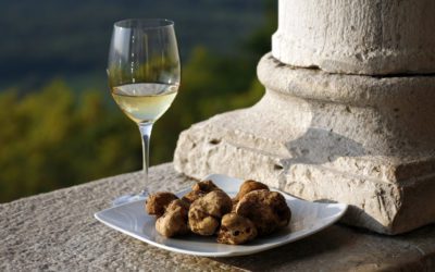 Truffle Season in Croatia