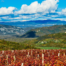 Fall scenery with red leaves on vines and rolling hills in Istria's wine region