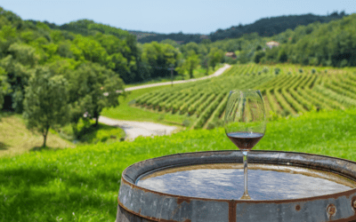 Croatia’s Unforgettable Food And Wine