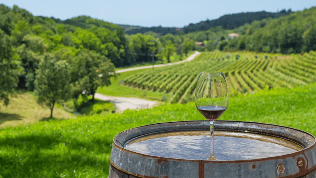 Croatia’s Most Celebrated Wines and Wineries