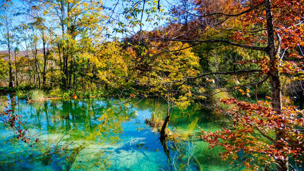 Colorful fall foliage around a lake during October in Croatia 