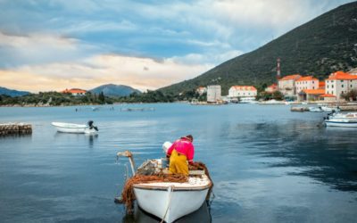 Bucket List Excursion: Oyster Harvesting in Croatia