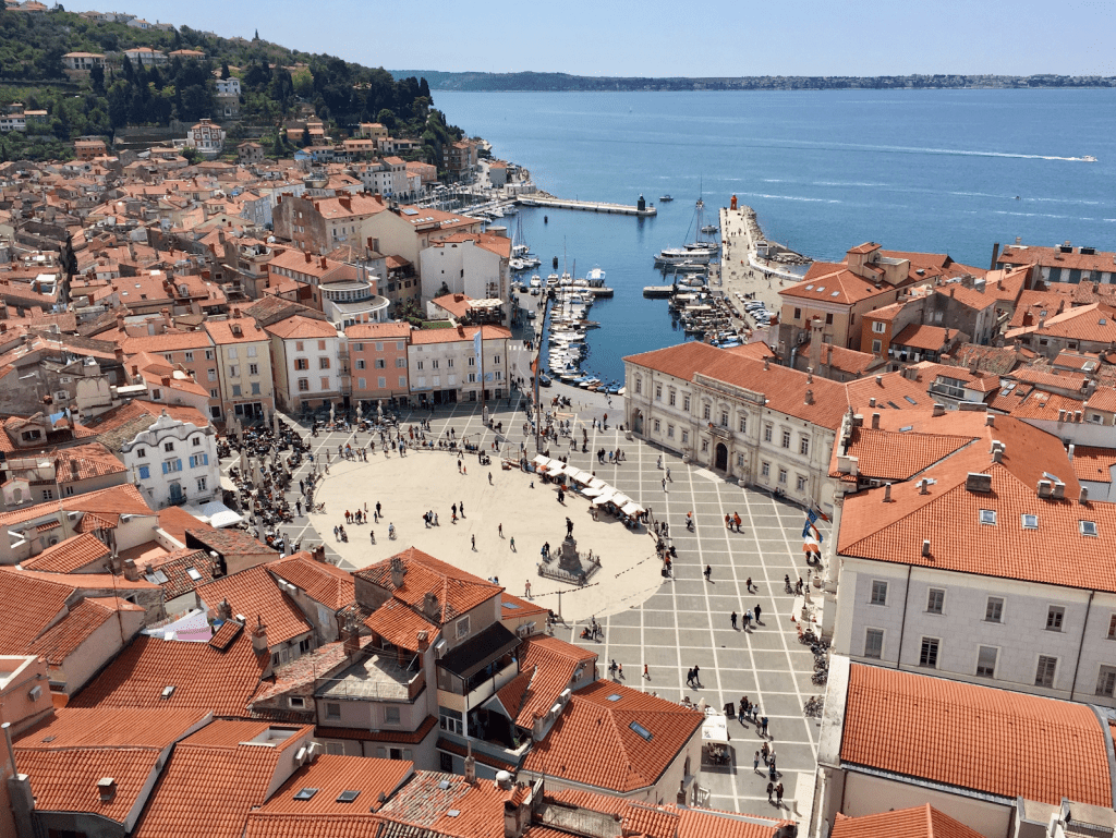 Aerial shot of Pula Harbor