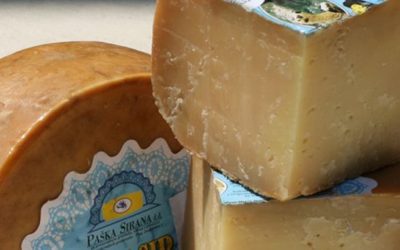 Croatian Cheese – Award Winning